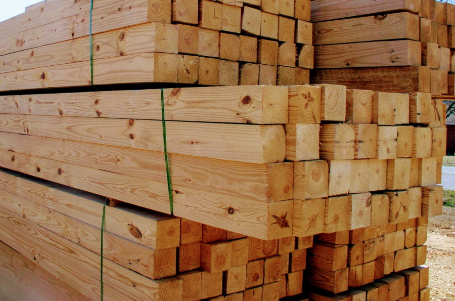 Где заготавливается древесина